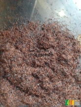 有色金屬廢料 城市礦山中的綠色寶藏